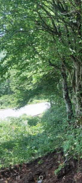 Plac u Moračko Trebaljevo, Kolašin-8