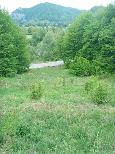 Plac u Moračko Trebaljevo, Kolašin