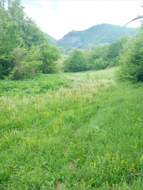 Plac u Moračko Trebaljevo, Kolašin-5