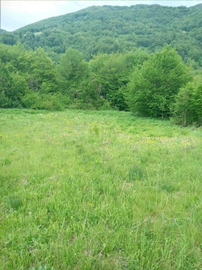 Plac u Moračko Trebaljevo, Kolašin