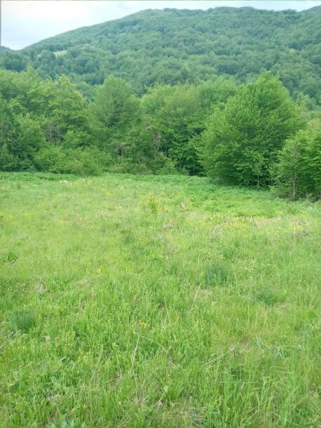 Plac u Moračko Trebaljevo, Kolašin-4