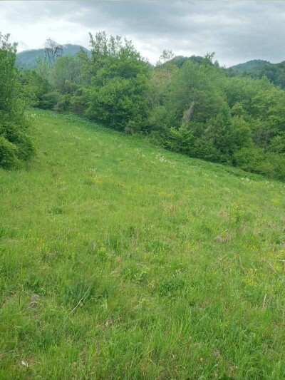 Plac u Moračko Trebaljevo, Kolašin