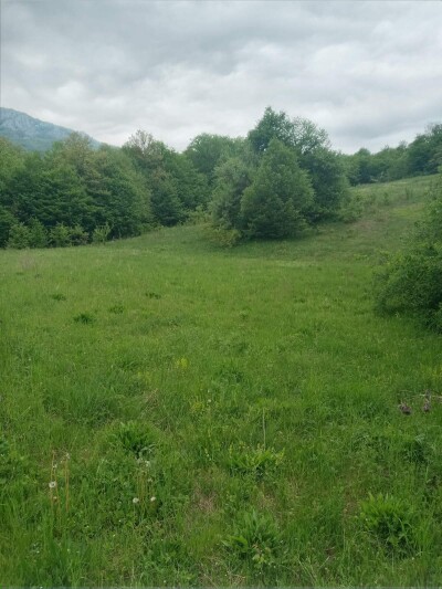 Plac u Moračko Trebaljevo, Kolašin