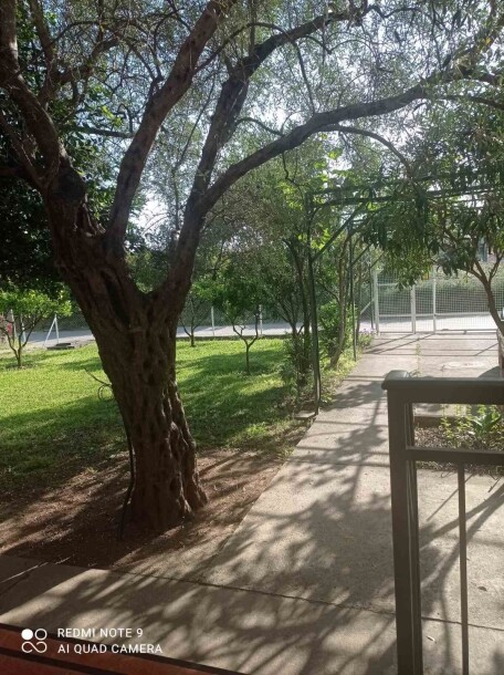 Kuća u Baru, naselje Bjeliši-11