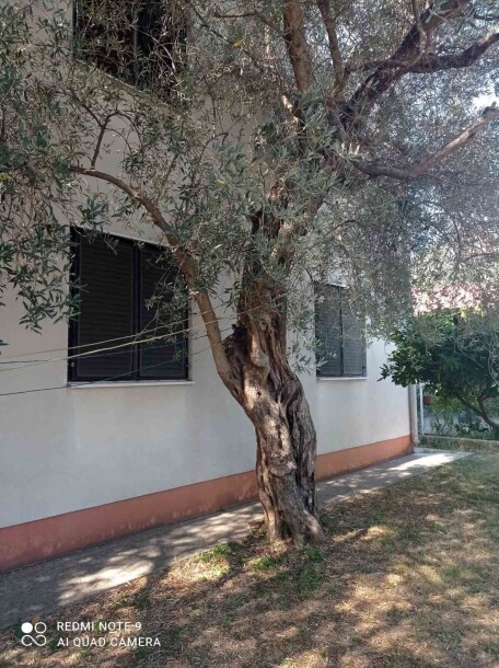 Kuća u Baru, naselje Bjeliši-10